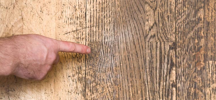 Wood Door Scratch Repair in Menlo Park